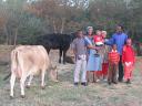 The whole family, cows and all